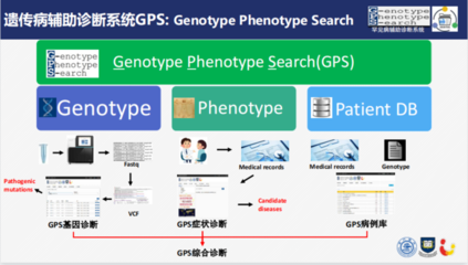 加速人工智能走深走实 升腾AI与上海的“不解之缘”