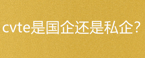 CVTE 一家科技巨头的所有制身份辨析